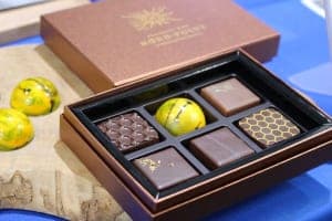 五感で楽しむカカオ　松屋銀座『GINZAバレンタインワールド』2/4～2/14開催